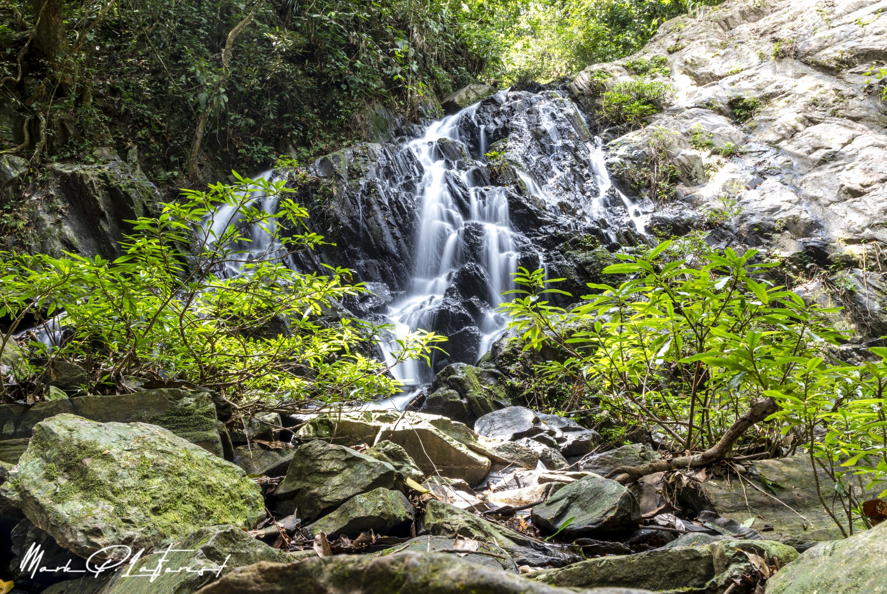 /gallery/central_america/Belize/Stann_Creek/mayflower bocawina np/New Trail Water Fall NBNP 2023-002_med.jpg